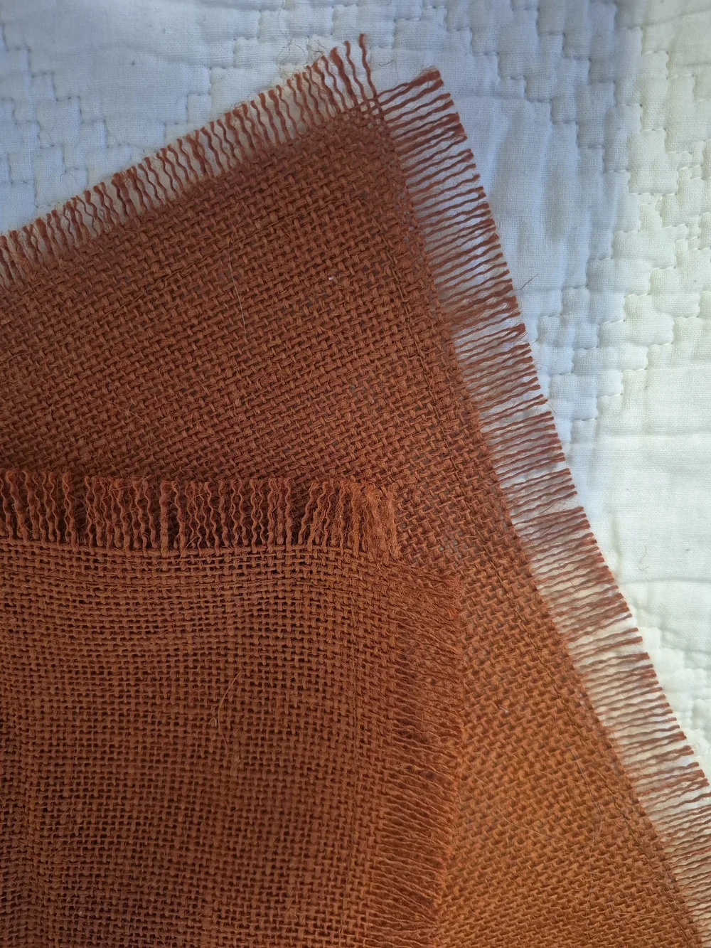 Orange Weave Placemats 2 PC Set